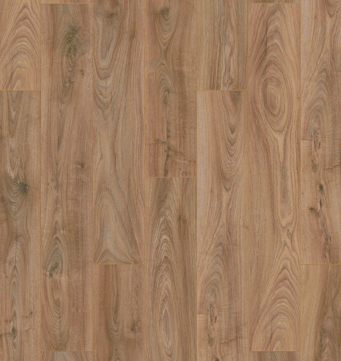 Hebeta Plank Chicago 10-5947