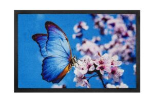 Hamat 585 IMAGE 40x60