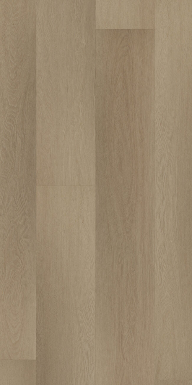 Room 5 Charming Suite Plank