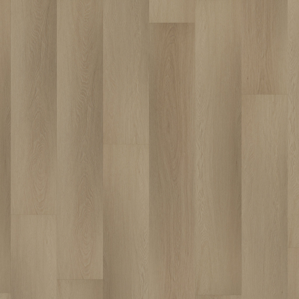 Room 5 Charming Suite Plank