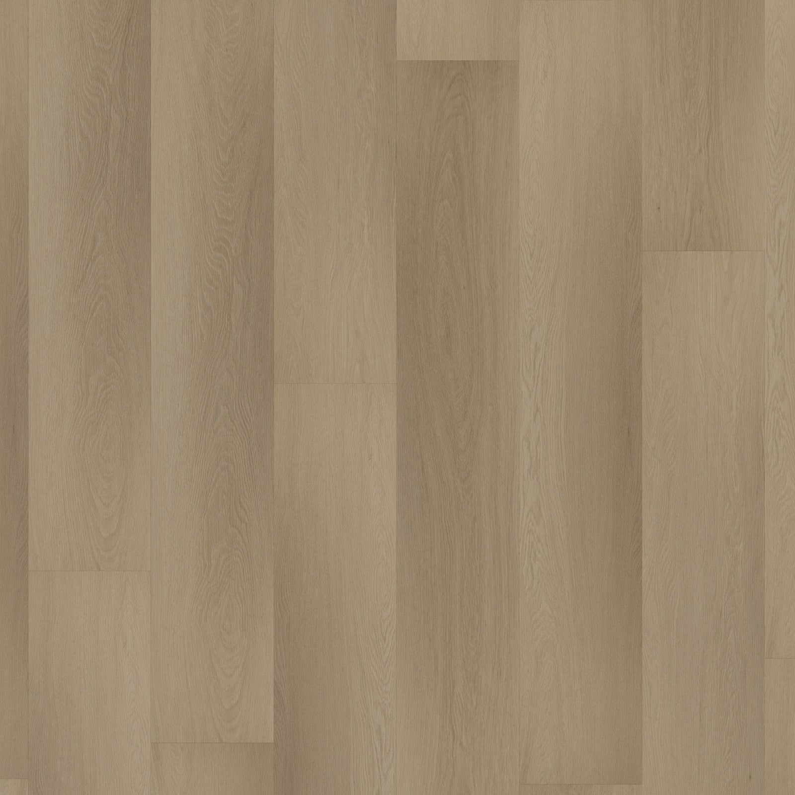 Room 5 Charming Suite Plank