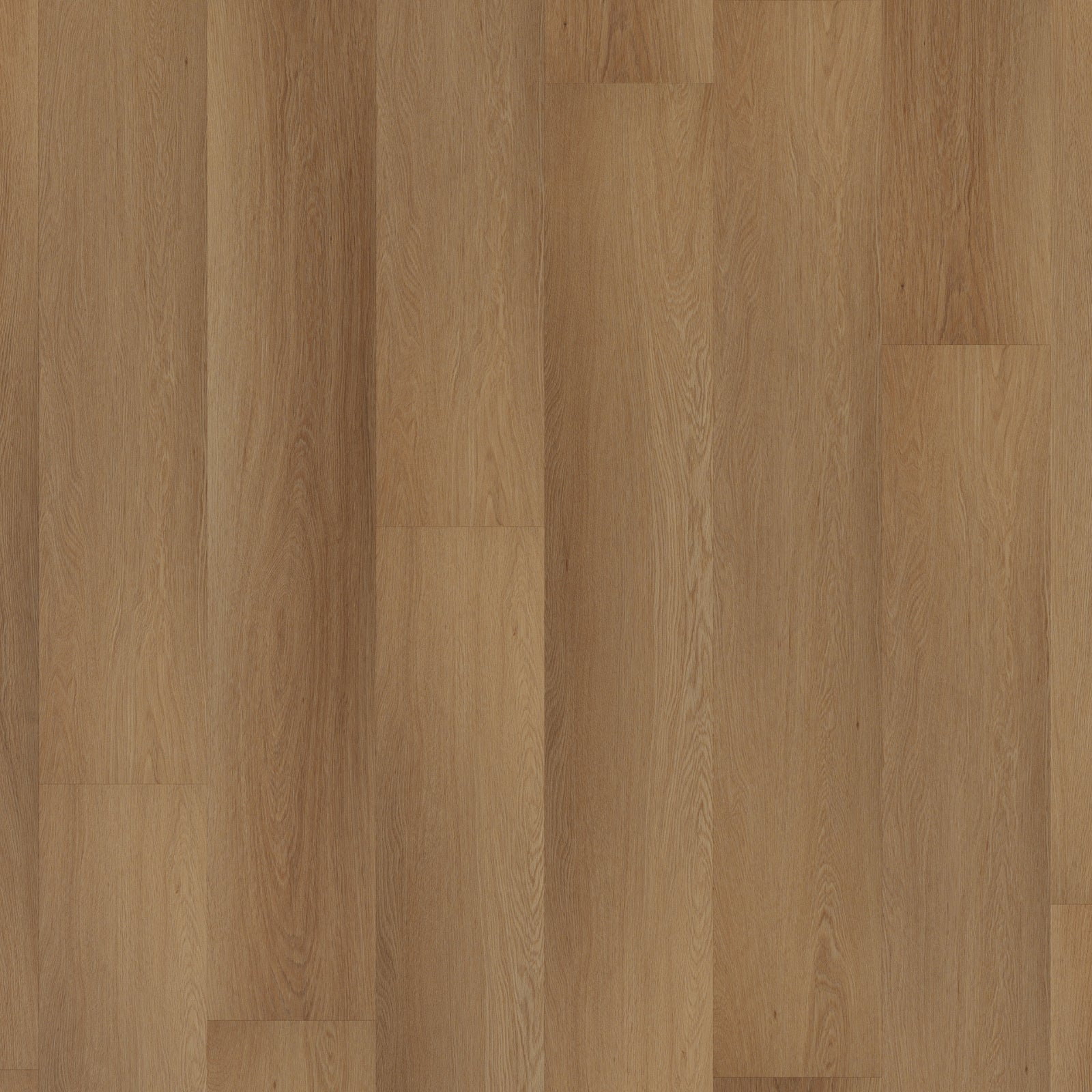 Room 5 Western Hemlock Plank