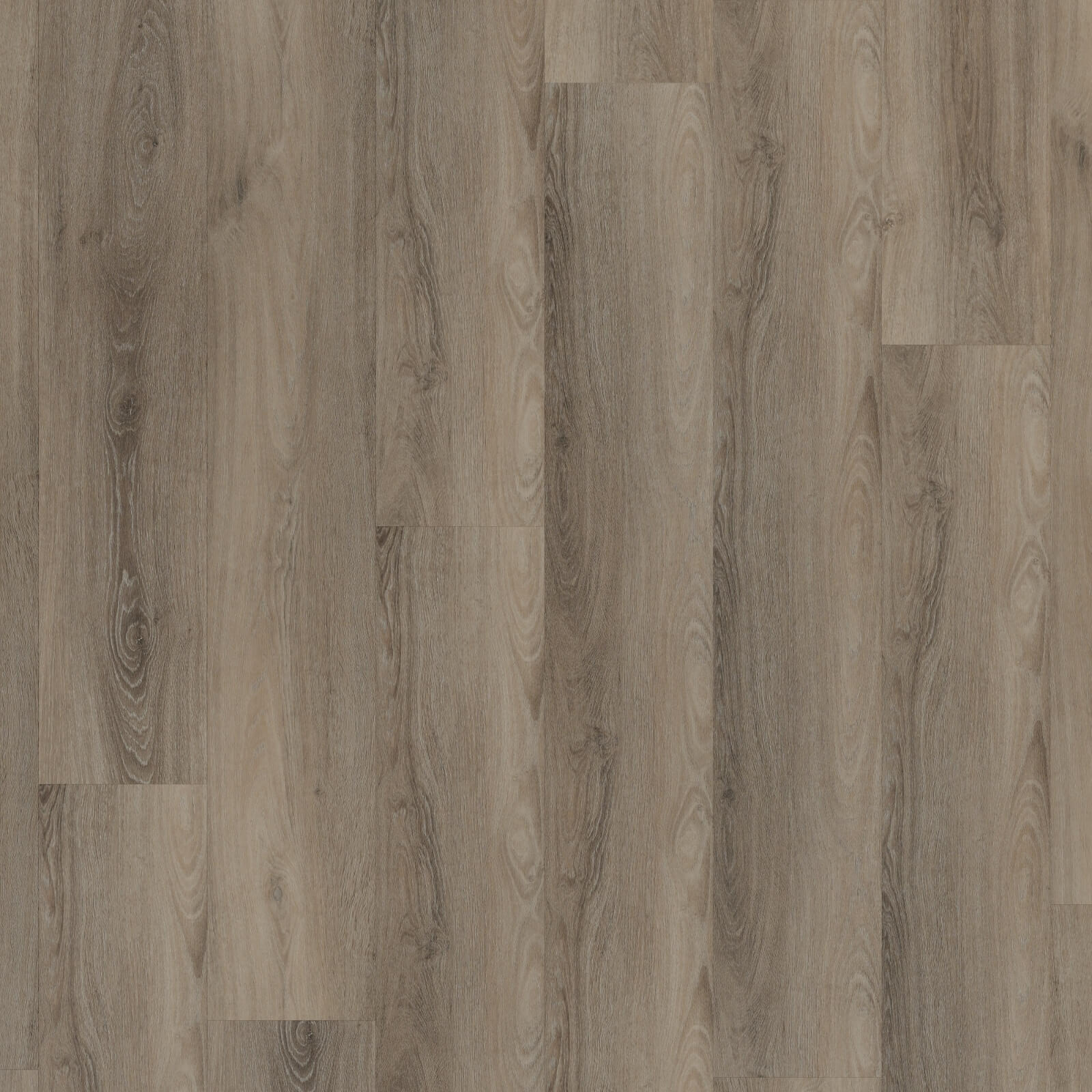 Room 5 Presidential Oak Plank