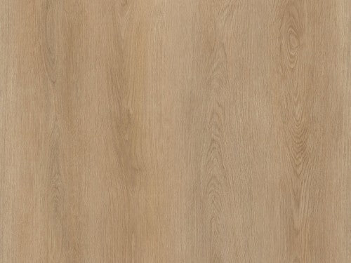 DBWD-210-PL / Cambridge Oak Plank Dry-Back