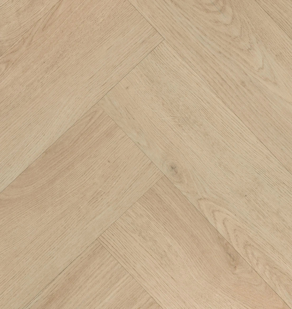 Hebeta Chablis Visgraat XL 57857